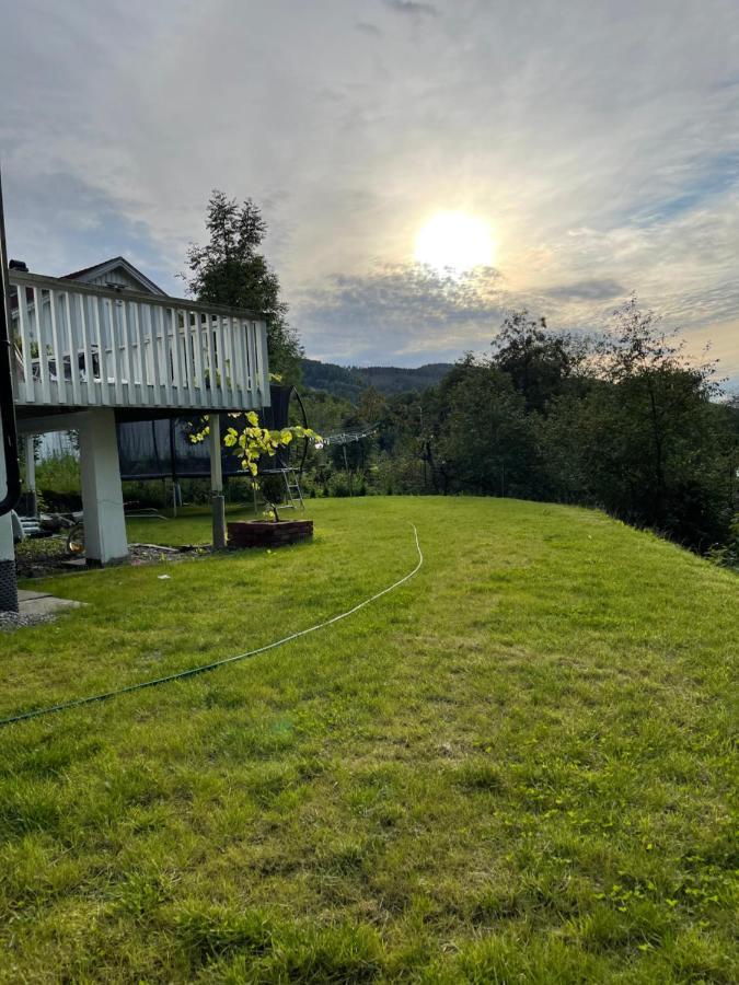 Fin Sentralt Hybel I Drammen 아파트 외부 사진