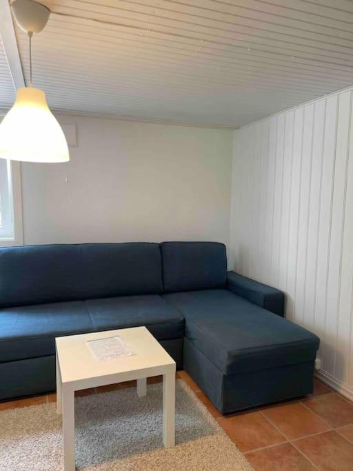 Fin Sentralt Hybel I Drammen 아파트 외부 사진